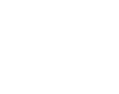 Mariner Mobile
